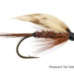 pheasant-tail-wet_3
