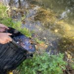 amap 13 saubetage alpines 20 novembre 2025