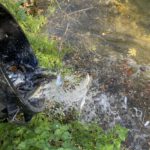 amap 13 saubetage alpines 20 novembre 2025