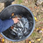 amap 13 sauvetage les alpines novembre 2025