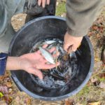 amap 13 sauvetage les alpines novembre 2025