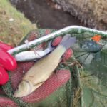 amap 13 sauvetage les alpines novembre 2025