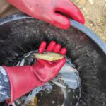 amap 13 sauvetage les alpines novembre 2025