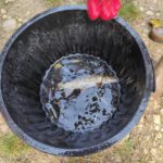 amap 13 sauvetage les alpines novembre 2025