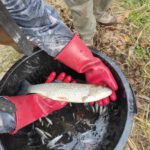 amap 13 sauvetage les alpines novembre 2025